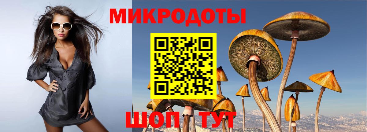 Галлюциногенные грибы GOLDEN TEACHER  Вход с VPN  Псилоцибиновые грибы ЛСД  Ростов Великий 
